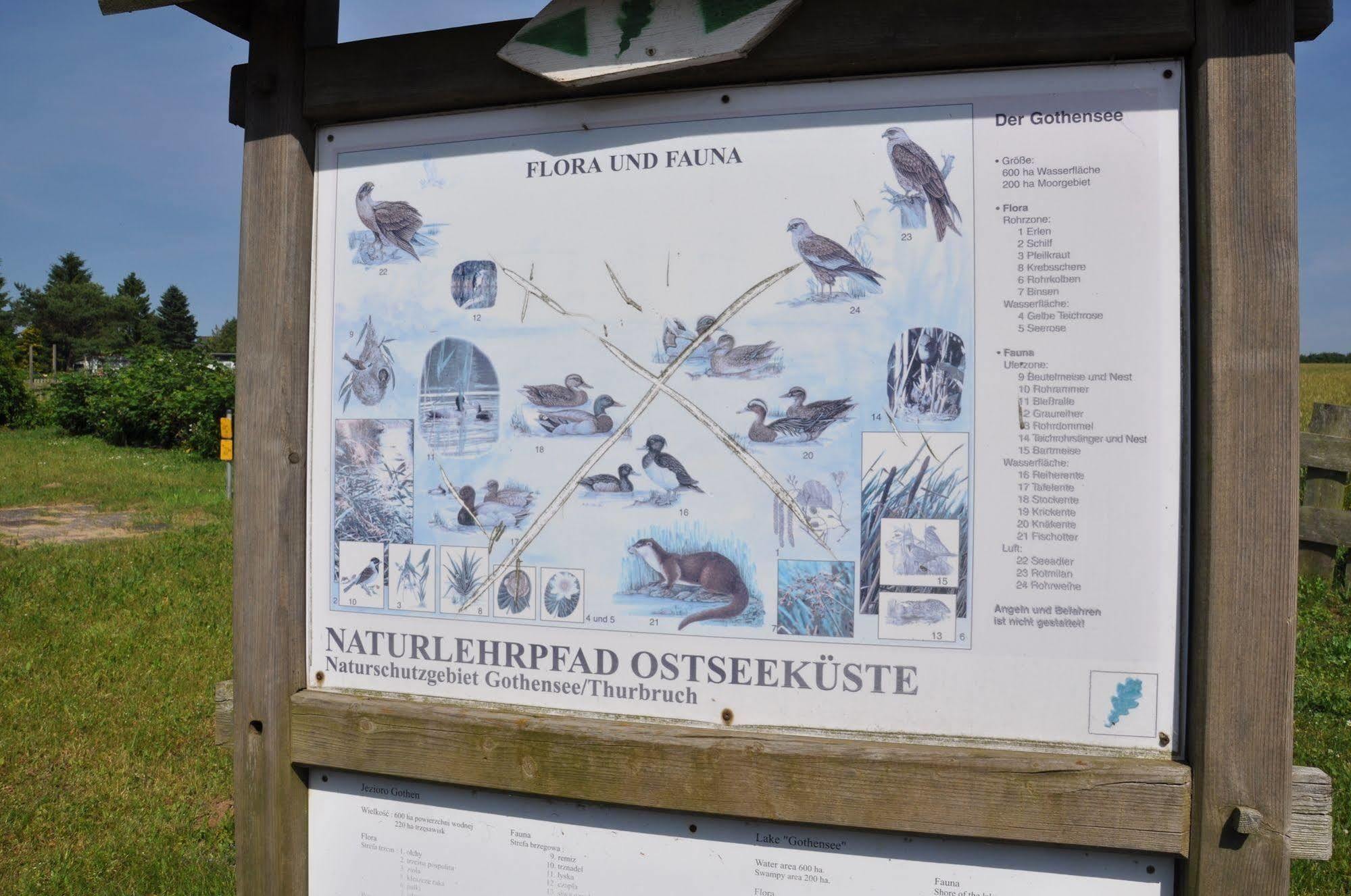 Hotel Am Gothensee Heringsdorf  Eksteriør billede