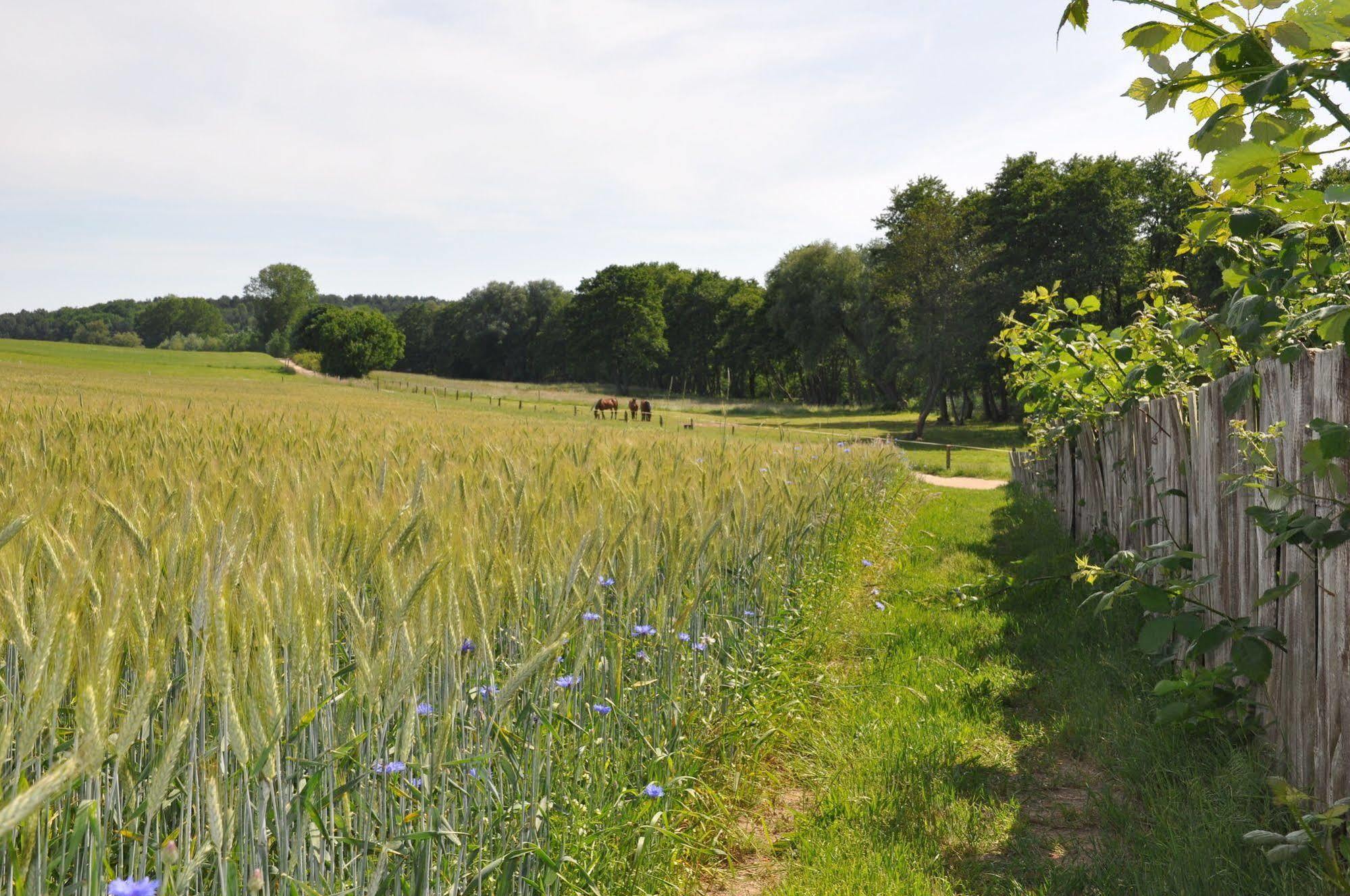 Hotel Am Gothensee Heringsdorf  Eksteriør billede